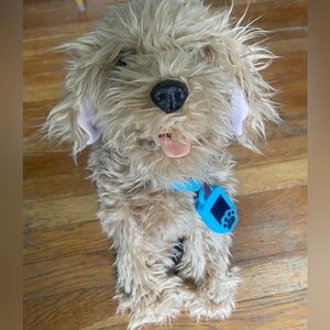 Moji the Lovable Labradoodle My Fuzzy Friends SkyRocket